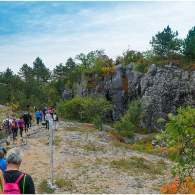 PER IL CARSO COL NORDIC WALKING 4 PER IL CARSO COL NORDIC WALKING 4